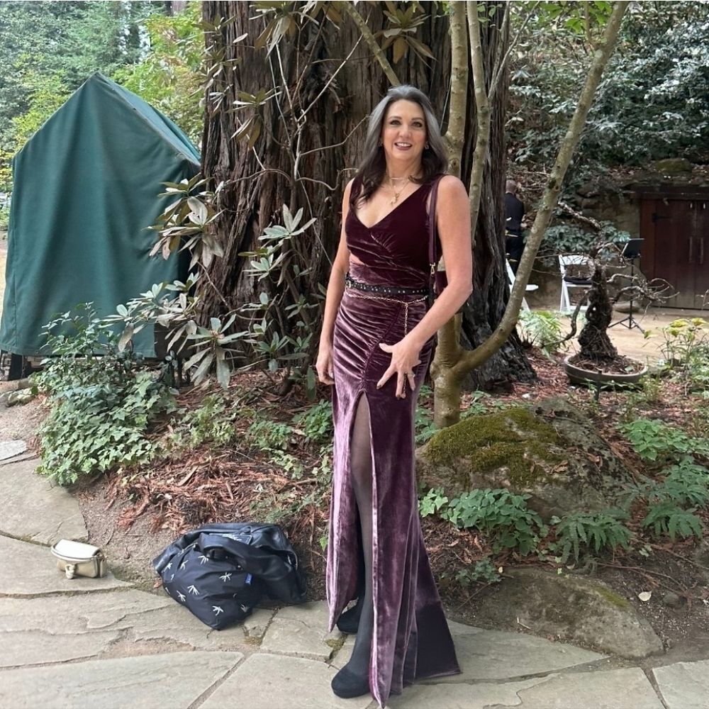 Cinq A Sept Genevive Velvet Cutout Gown Sz 8 - Picture 10 of 10